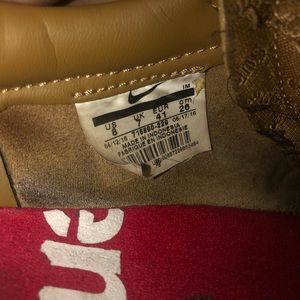 Supreme Nike Sb shoes